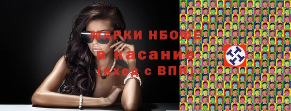 сатива Верея
